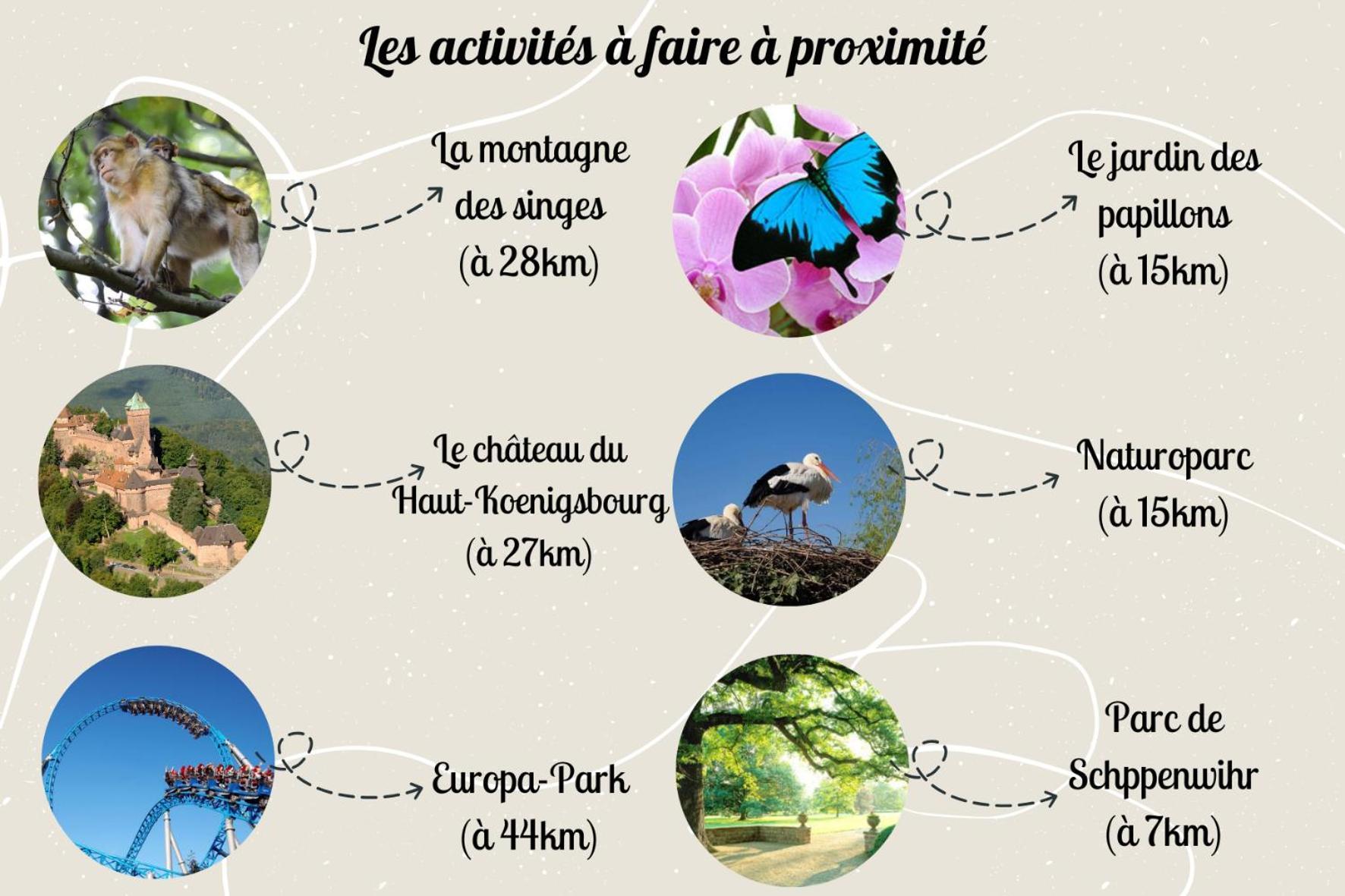 Le Rosacker - Proche Centre Et Gare - Terrasse - Parking Gratuit 2 Places - 2 - 2 Salles De Bain - Netflix Appartamento Colmar